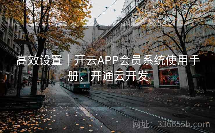 高效设置｜开云APP会员系统使用手册，开通云开发