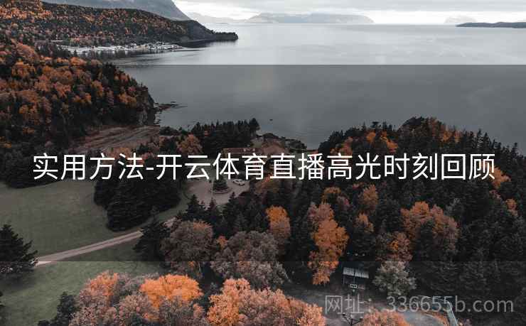 实用方法-开云体育直播高光时刻回顾
