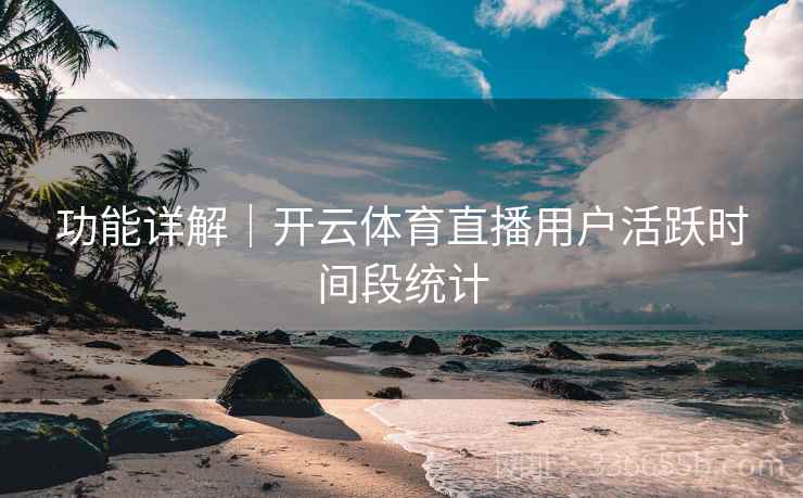 功能详解｜开云体育直播用户活跃时间段统计