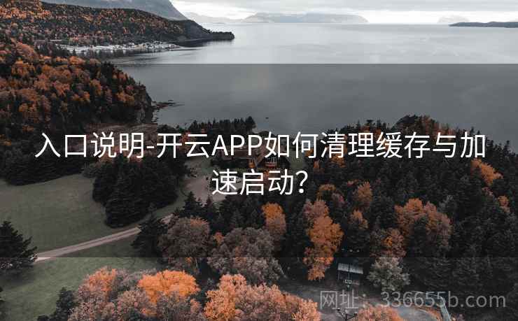 入口说明-开云APP如何清理缓存与加速启动？