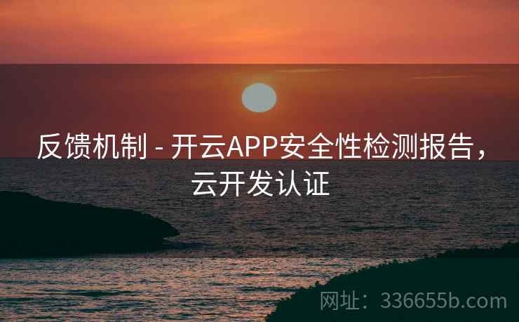 反馈机制 - 开云APP安全性检测报告，云开发认证
