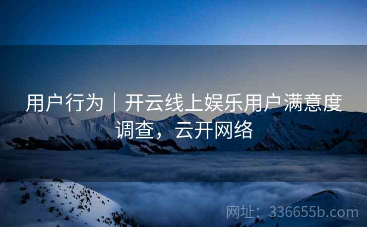 用户行为｜开云线上娱乐用户满意度调查，云开网络
